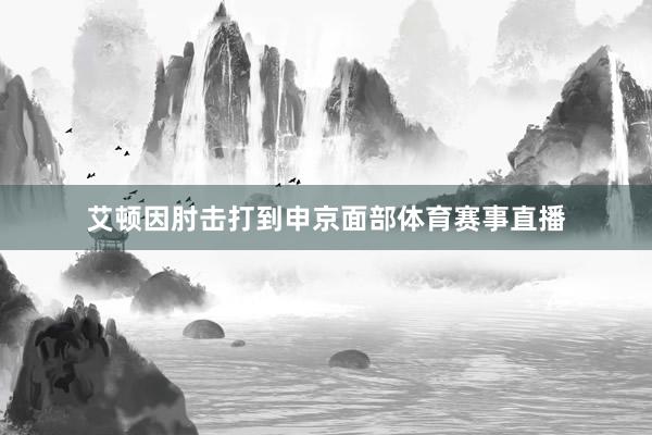 艾顿因肘击打到申京面部体育赛事直播