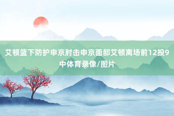 艾顿篮下防护申京肘击申京面部艾顿离场前12投9中体育录像/图片