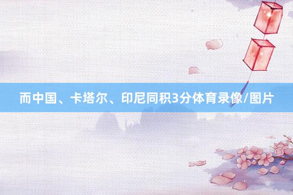 而中国、卡塔尔、印尼同积3分体育录像/图片