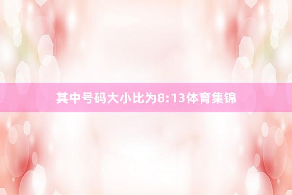 其中号码大小比为8:13体育集锦