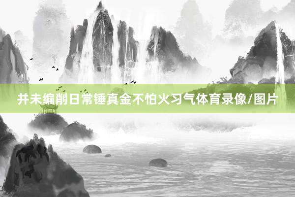 并未编削日常锤真金不怕火习气体育录像/图片