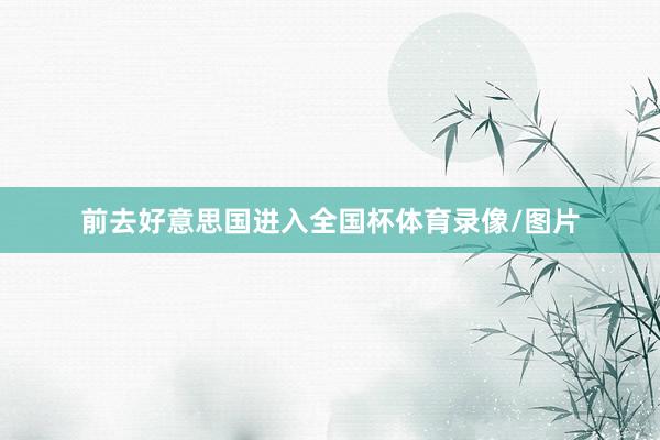 前去好意思国进入全国杯体育录像/图片