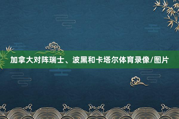 加拿大对阵瑞士、波黑和卡塔尔体育录像/图片