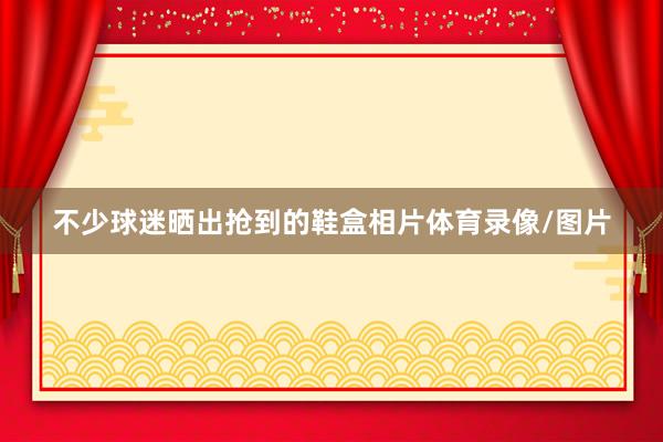 不少球迷晒出抢到的鞋盒相片体育录像/图片