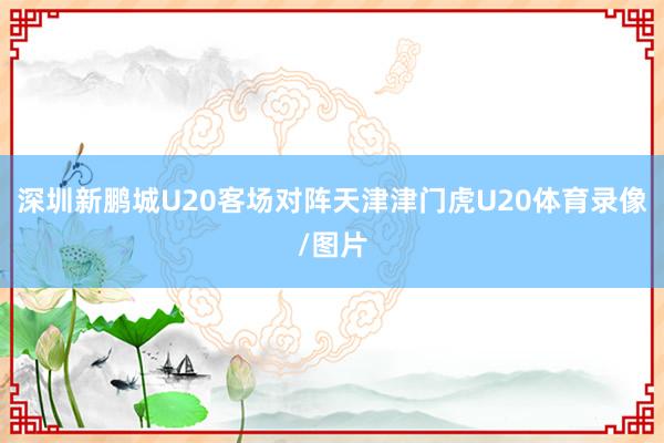 深圳新鹏城U20客场对阵天津津门虎U20体育录像/图片