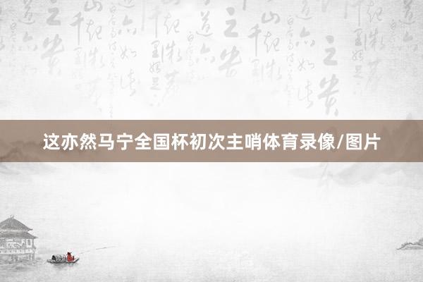 这亦然马宁全国杯初次主哨体育录像/图片