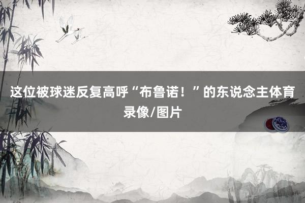 这位被球迷反复高呼“布鲁诺！”的东说念主体育录像/图片